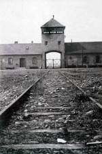 Watch AUSCHWITZ: FRENZIED KILLING Primewire