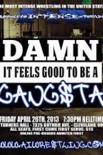 Watch AIW Damn It Feels Good To Be A Gangsta Primewire