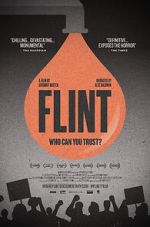 Watch Flint Primewire