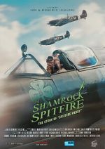 Watch The Shamrock Spitfire Primewire