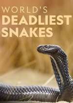 Watch World's Deadliest Snakes Primewire