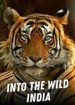 Watch Into the Wild India Primewire