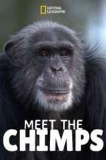 Watch Meet the Chimps Primewire