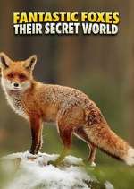 Watch Fantastic Foxes: Their Secret World Primewire