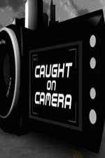 Watch Criminals Caught on Camera Primewire
