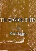 Watch The Wonder of Bees with Martha Kearney Primewire