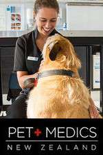 Watch Pet Medics Primewire
