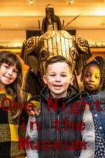 Watch One Night in the Museum Primewire