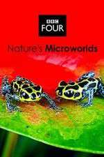 Watch Natures Microworlds Primewire