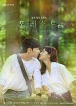 Watch Forest Primewire