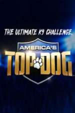 Watch America\'s Top Dog Primewire