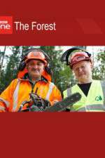 Watch The Forest Primewire