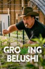 Watch Growing Belushi Primewire