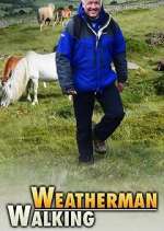 Watch Weatherman Walking Primewire