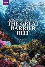 Watch Great Barrier Reef with David Attenborough Primewire