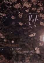 Watch One Spring Night Primewire