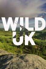 Watch Wild UK Primewire