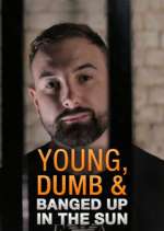 Watch Young Dumb & Banged Up in the Sun Primewire