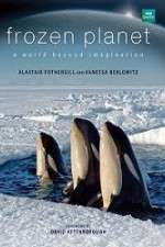 Watch Frozen Planet Primewire