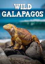 Watch Wild Galapagos Primewire