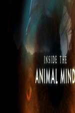 Watch Inside the Animal Mind Primewire