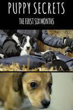 Watch Puppy Secrets: The First Six Months Primewire