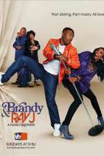 Watch Brandy and Ray J: A Family Business Primewire