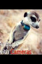 Watch Animals with Cameras Primewire