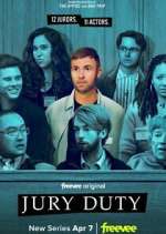Watch Jury Duty Primewire