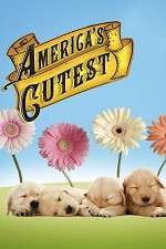 Watch America's Cutest Primewire