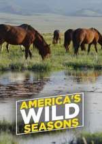 Watch America's Wild Seasons Primewire