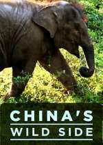 Watch China's Wild Side Primewire