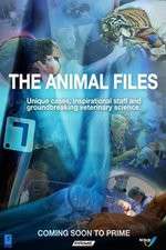 Watch The Animal Files Primewire