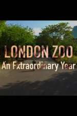 Watch London Zoo: An Extraordinary Year Primewire
