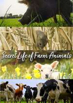 Watch Secret Life of Farm Animals Primewire