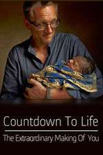 Watch Countdown to Life The Extraordinary Making of You Primewire