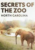 Watch Secrets of the Zoo: North Carolina Primewire