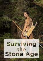 Watch Surviving the Stone Age Primewire