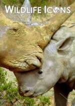 Watch Wildlife Icons Primewire
