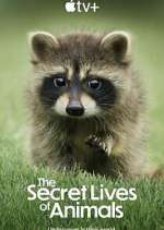 Watch The Secret Lives of Animals Primewire