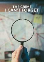 Watch The Crime I Can't Forget Primewire