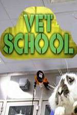 Watch Vet School Primewire