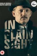 Watch In Plain Sight Primewire