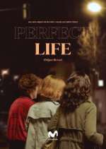 Watch Vida perfecta Primewire
