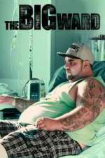 Watch The Big Ward Primewire