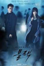 Watch Black Primewire