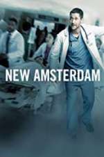 Watch New Amsterdam Primewire