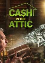 Watch Cash in the Attic Primewire