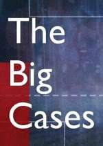 Watch The Big Cases Primewire