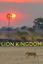 Watch Lion Kingdom Primewire